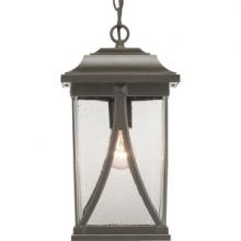 Progress P550040-020 - Abbott Collection One-Light Hanging Lantern