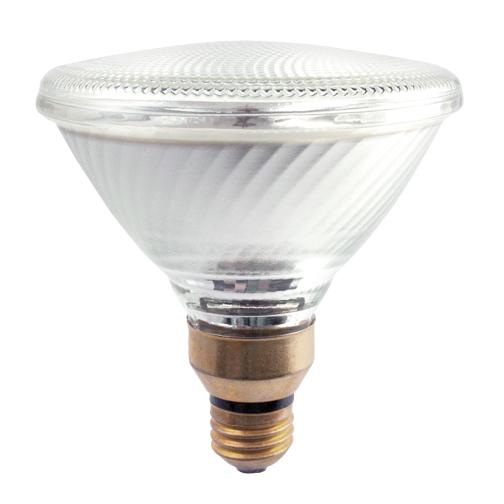 100W PAR38 METAL HALIDE VERY WIDE FLOOD E26