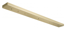 MULTI CEILING CANOPY (LINE VOLTAGE)