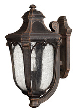 Hinkley 1314MO - Small Wall Mount Lantern